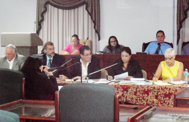 Comité de Transición