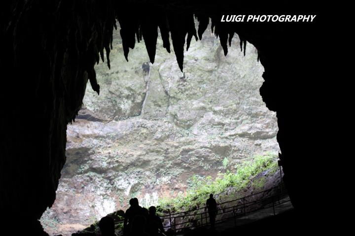 LUIGI CAVERNAS DE CAMUY