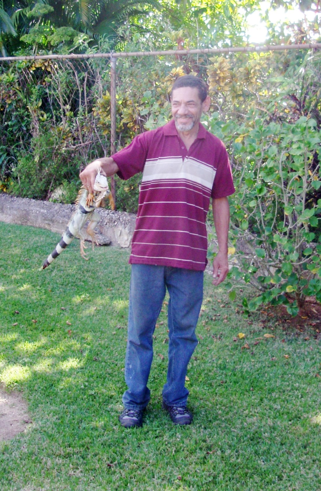 El buen vecino Freddy Nuñez sale al rescate de una vecina que se encontró con esta iguana en su jardín