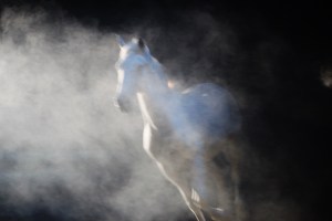 130406 SHOW ESCUELA ARTE ECUESTRE (109)