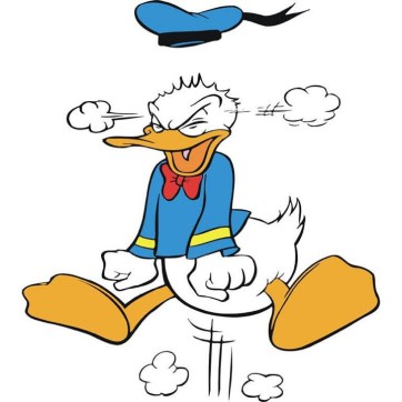 PATO DONALD EN VEGA BAJA SE LEVANTA