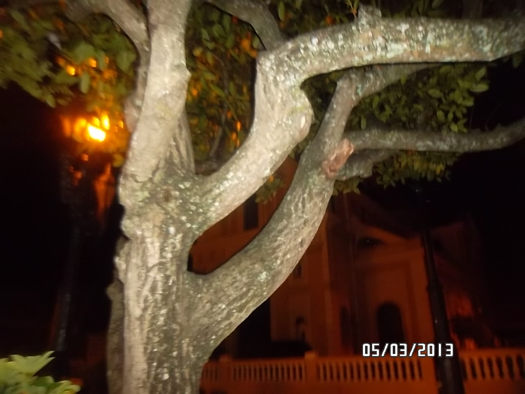 ALBUM DE IMAGENES DE WILLIEFANIA (2)