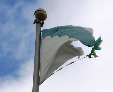 BANDERA_RAIDA_DE_VEGA_BAJA-387x314