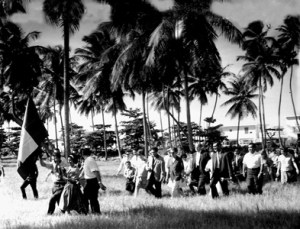 Cantinflas Ebay 7424 3.0 100 (2)