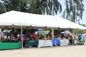 130720 ARTESANIA EN LA PLAYA (20)