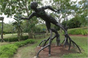 HERENCIA AFRICANA JARDIN BOTANICO Y CULTURAL 3