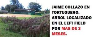TITO CORDERO ARBOL EN EL LEFT FIELD