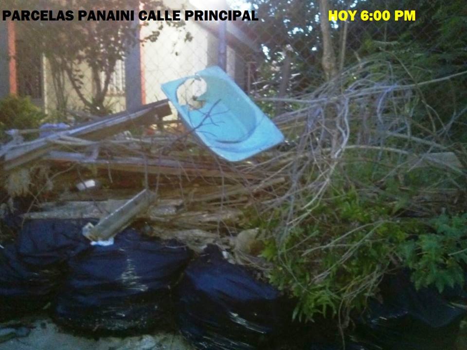 TITO CORDERO PARCELAS PANAINI