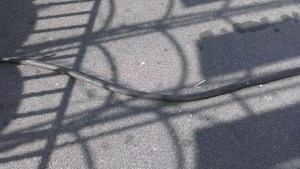 CABLE CON EL QUE SENORA SE TROPEZO