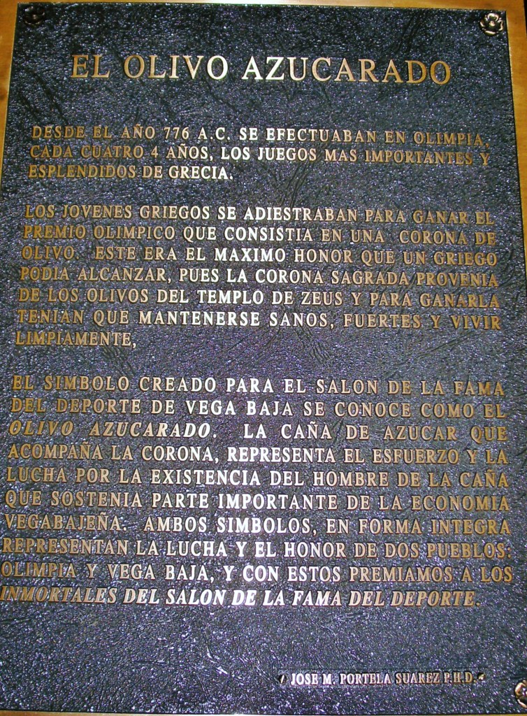 GEDSC DIGITAL CAMERA