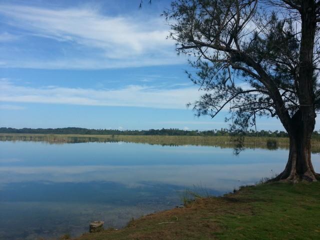 NILDA LOJO LA LAGUNA TORTUGUERO EN SU ESPLENDOR
