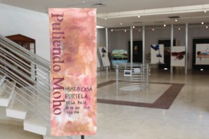 LUIGI EXHIBICION PULIENDO MOHO EN CASA PORTELA