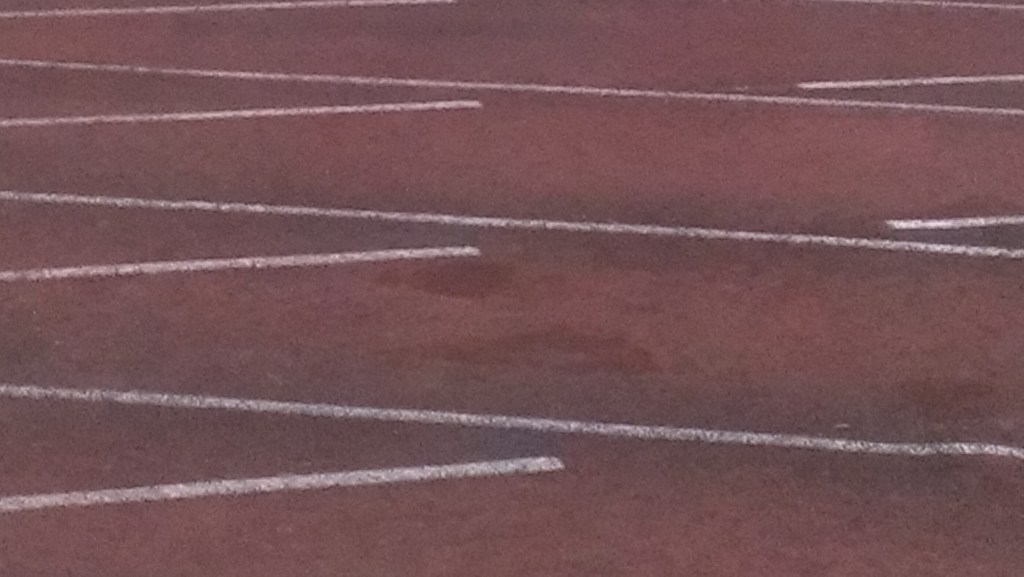 PISTA DE TORTUGUERO 2013