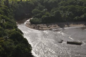 ROBERT RIVERA PAISAJES VEGABAJENOS DESEMBOCSDURS RIO CIBUCO
