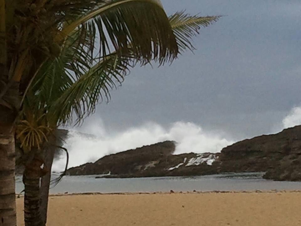 ROBERT RIVERA PLAYA DE VEGA BAJA CON OLAS