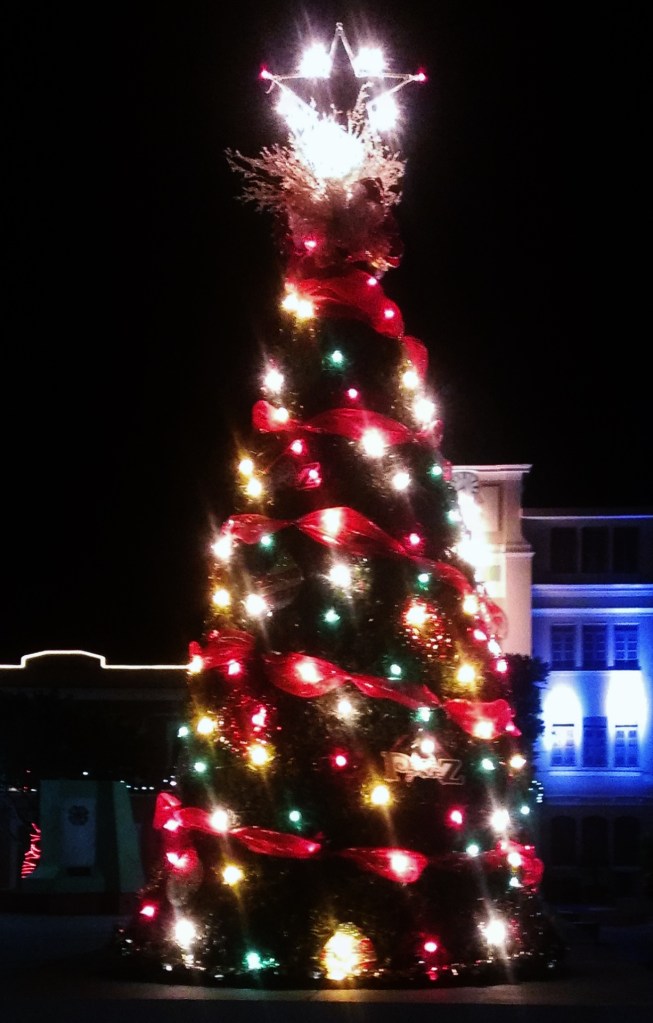 ARBOL DE LA PLAZA DE RECREO (16)