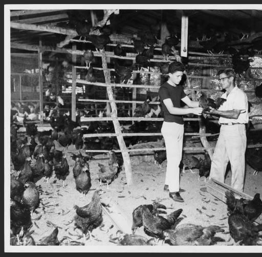 HERMINIO MARRERO LA GRANJA DE JUAN