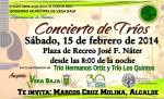 CONCIERTO DE TRIOS 15 DE FEBRERO 2014