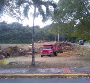 DEFORESTACION