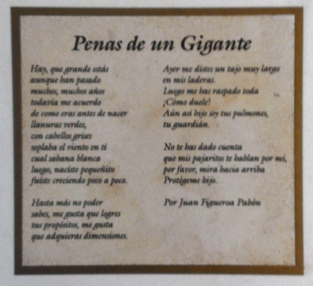 JUAN FIGUEROA PABON LAS PENAS DE UN GIGANTE