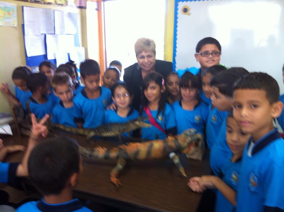 EXHIBICION DE ANIMALES DE LA LAGUNA TORTUGUERO