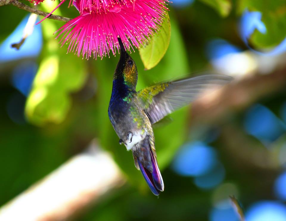 JULIO DAVILA EN EL OJO DE AGUA
