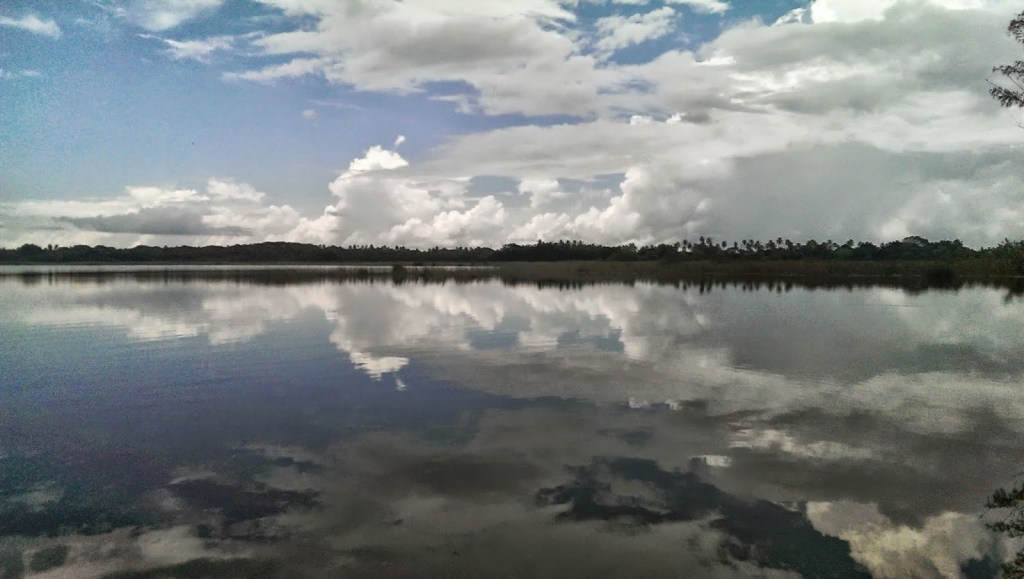 LAGUNA TORTUGUERO 2
