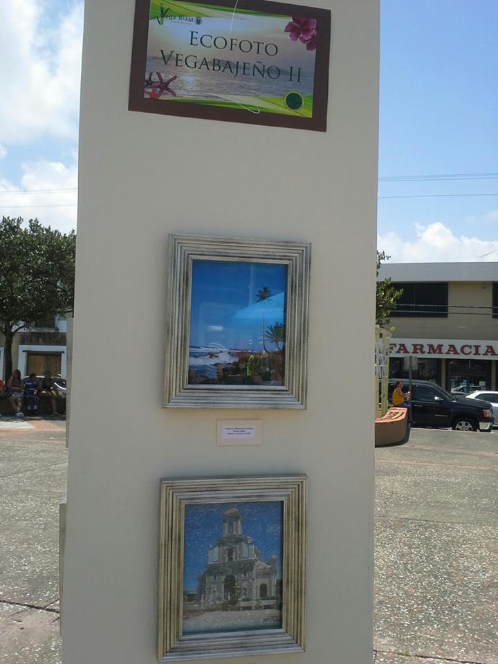 LUCY BARRETO FOTOS GANADORAS EN EL CERTAMEN DE ECOFOTO 4