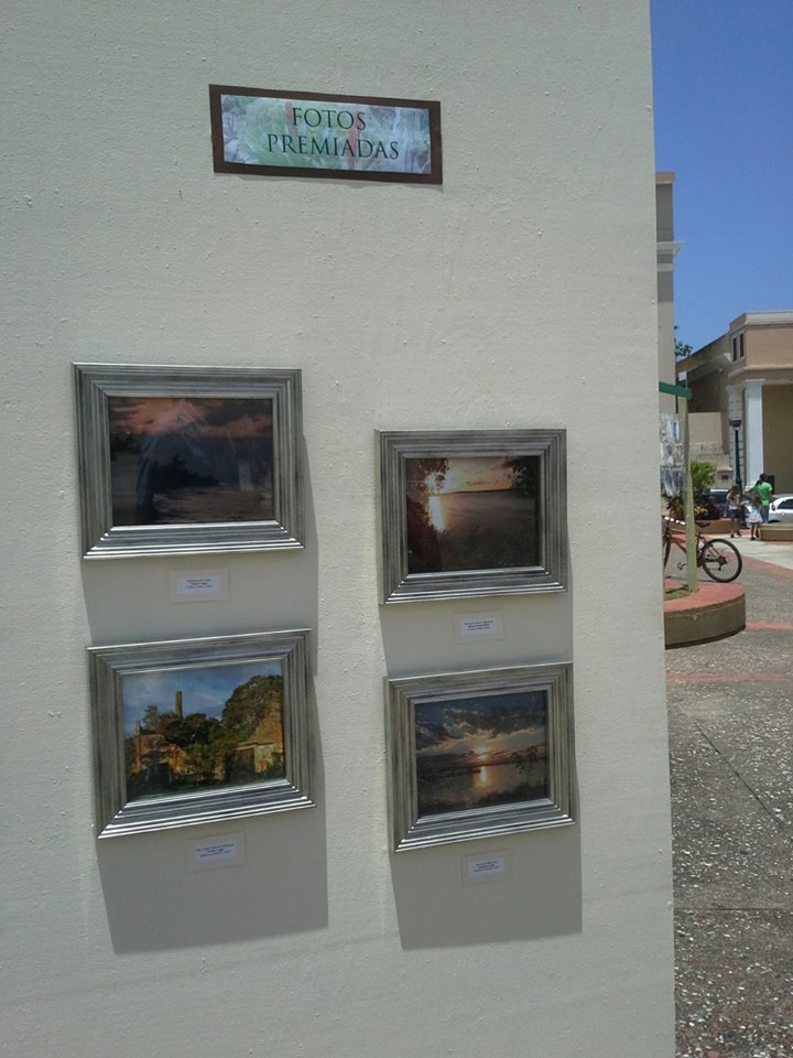 LUCY BARRETO FOTOS GANADORAS EN EL CERTAMEN DE ECOFOTO 5