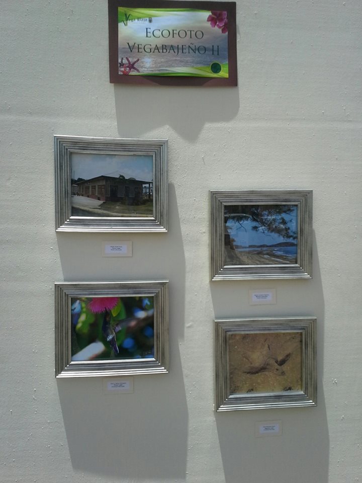 LUCY BARRETO FOTOS GANADORAS EN EL CERTAMEN DE ECOFOTO