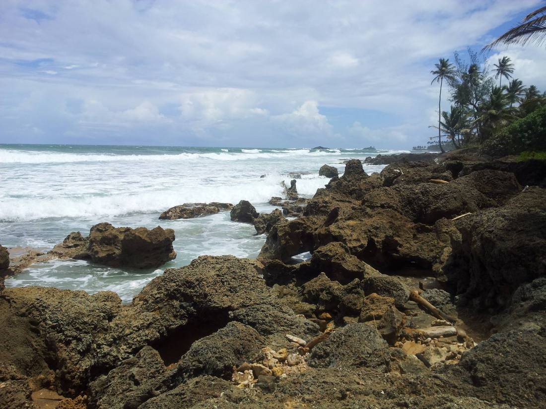VIOLETA LANDRON PLAYA DE VEGA BAJA