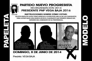 ALEXANDER GANDIA ANUNCIO ELECTORAL