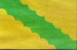 bandera de vega baja