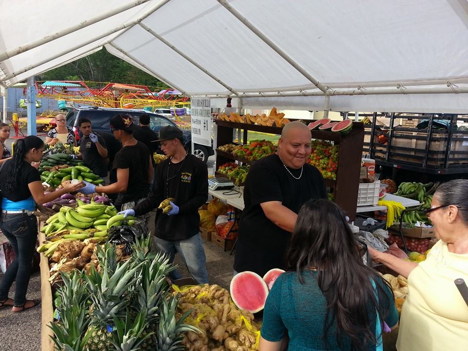 FERIA AGRICOLA VEGABAJEÑA