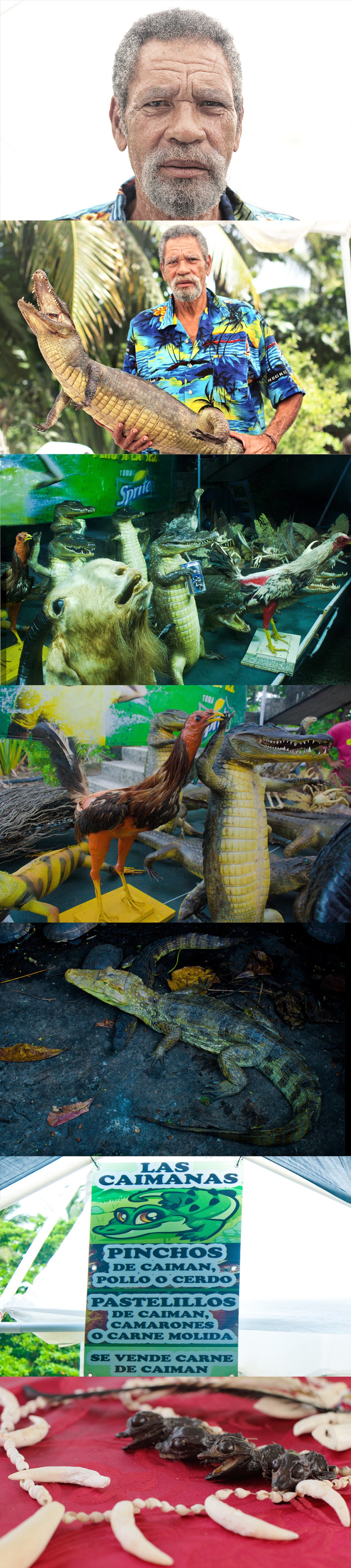 MIGUEL VIZCARRONDO COLLAGE POR EDGAR