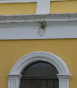 Casa Portela, yerbajo 1