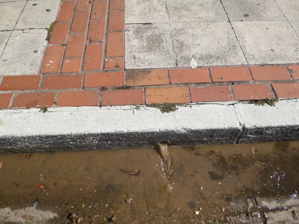 Iglesia Catolica entrada limpieza 5 X