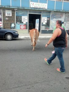 LUNA COMPRA EN ENIGUEY