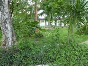 Monte Carlo 2 VB 9, 2014