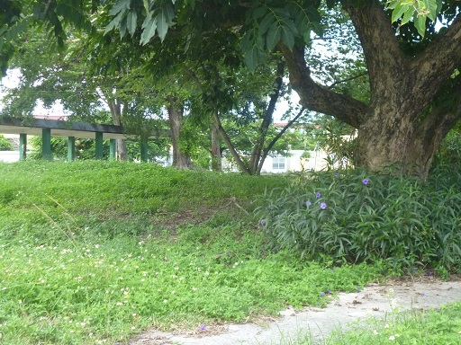 Monte Carlo 3 VB 9, 2014