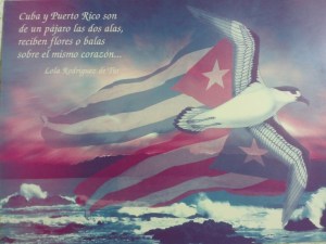 cuba y puerto rico son de un pajaro las dos alas 3