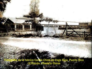 5103 CC044 Caribe China