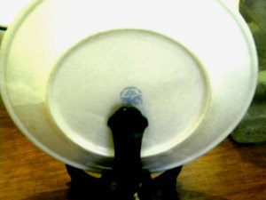 5195 REVERSO DEL PLATO DE LAS NACIONES UNIDAS PRODUCIDO POR CARIBE CHINA