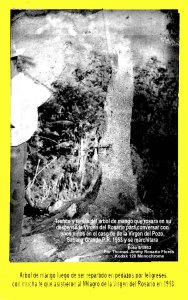 AVSG 12  Actividad Tronco Virgen del Pozo