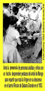 AVSG 15  Actividads Reparten partes arbol de mango