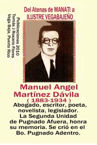 Manuel Angel Martinez Davila, Abogado, leguslador, poeta, novelista