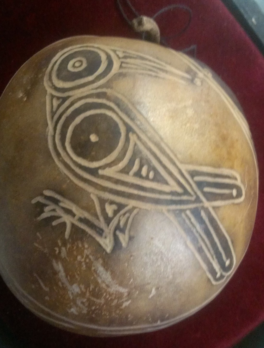 hector igeuroa casanova donacion (25)