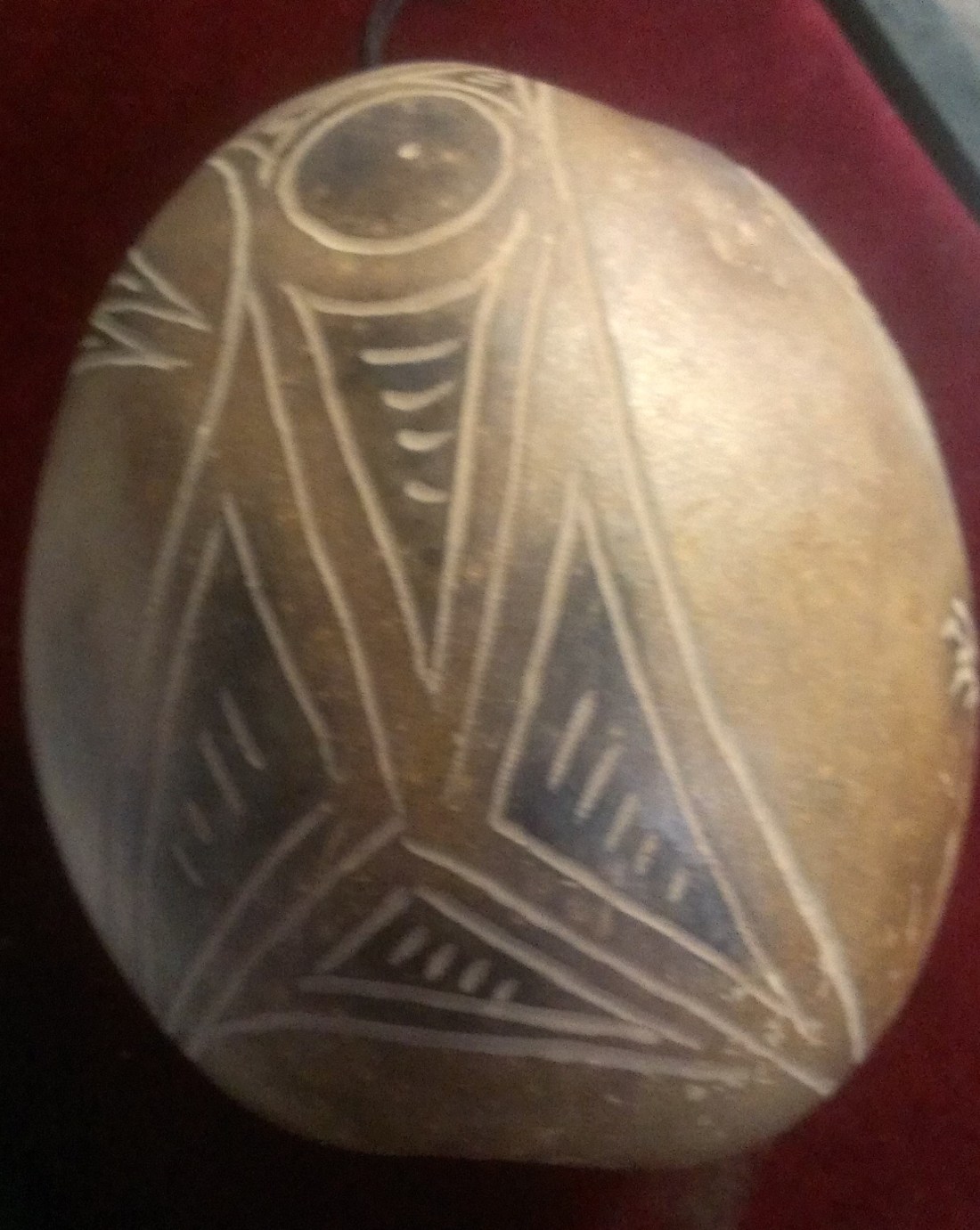 hector igeuroa casanova donacion (30)