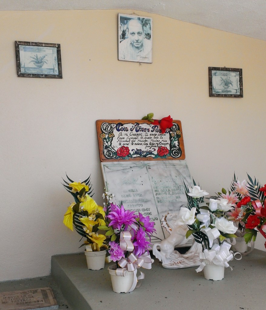 IHV CEMENTERIO DE VEGA BAJA  (134)