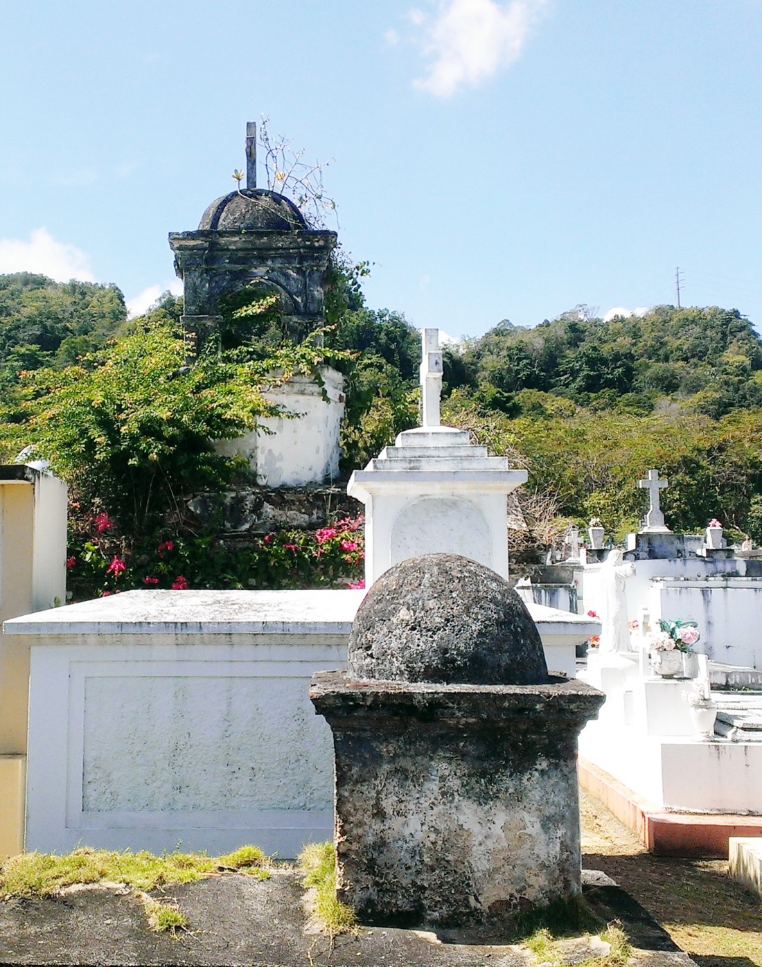 IHV CEMENTERIO DE VEGA BAJA  (48)